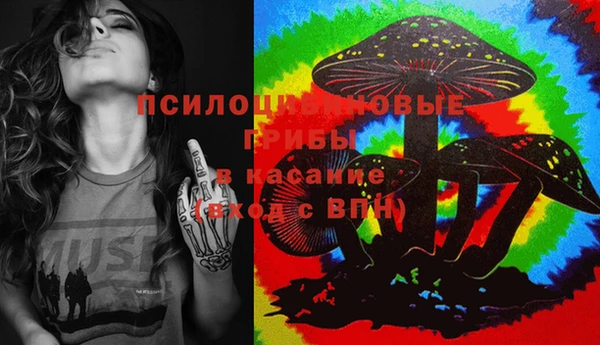 экстази Каменка