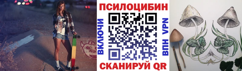 мориарти телеграм  Тайшет  Галлюциногенные грибы Psilocybe 